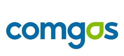 CGAS3
