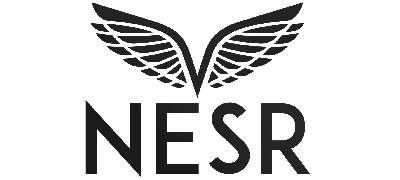 National Energy Services